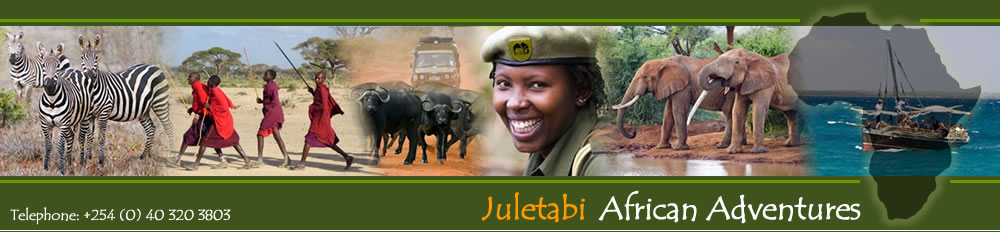 Kenia Safari -Juletabi